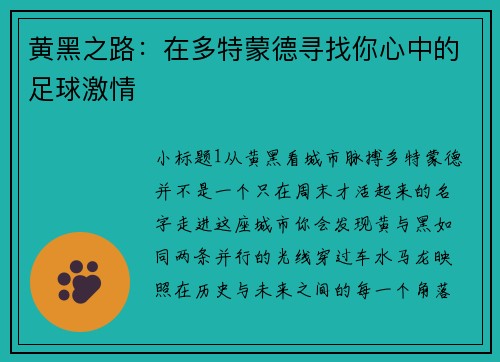 黄黑之路：在多特蒙德寻找你心中的足球激情