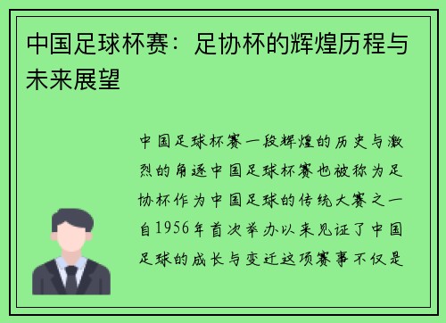 中国足球杯赛：足协杯的辉煌历程与未来展望